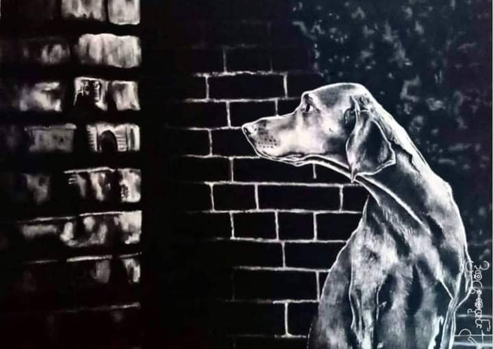Charcoal dog